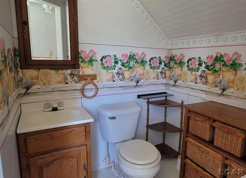 828 S Union St, Tecumseh, MI 49286 photo 17