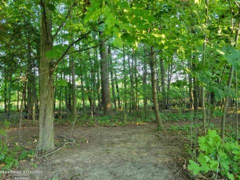 21240 Pratt, Armada, MI 48005 photo 4
