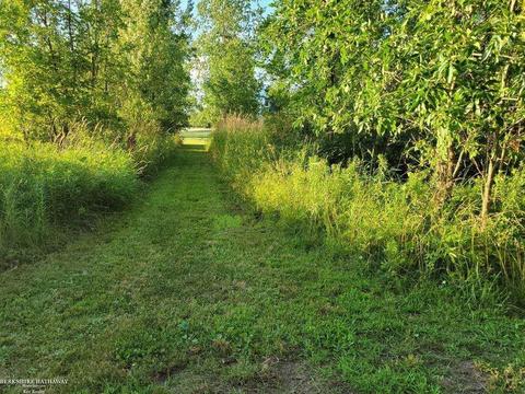 21240 Pratt, Armada, MI 48005 photo 5