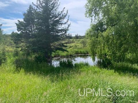 8480 15th Rd, Rapid River, MI 49878 photo 18