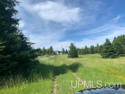 8480 15th Rd, Rapid River, MI 49878 photo 22