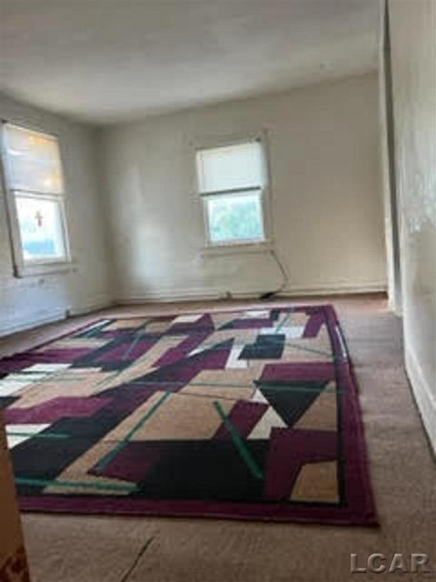 314 Elm St, Adrian, MI 49221 photo 16
