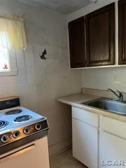 314 Elm St, Adrian, MI 49221 photo 17