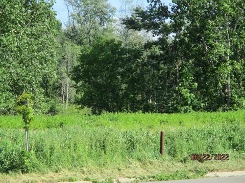 0 Fenton, Fenton, MI 48430