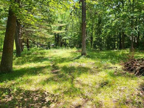 454 Adeline, Gladwin, MI 48624 photo 21