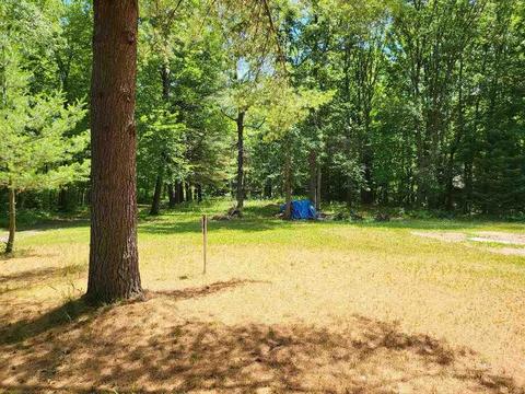 454 Adeline, Gladwin, MI 48624 photo 16