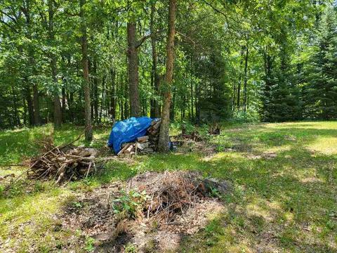 454 Adeline, Gladwin, MI 48624 photo 23