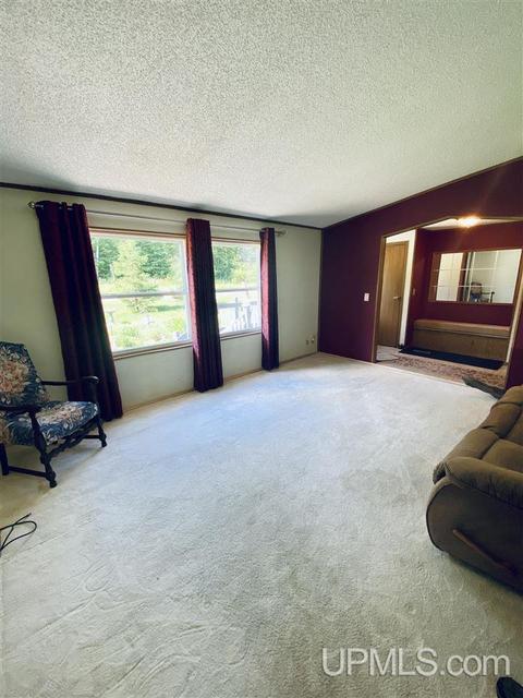 7268 Co Rd 496, Ishpeming, MI 49849 photo 4