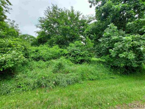 121 Springmill, Jerome, MI 49249 photo 3