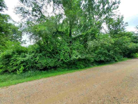 125 Springmill, Jerome, MI 49249 photo 2