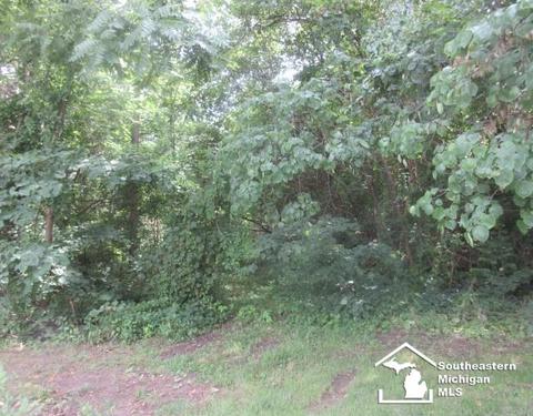 6715 Green, Ottawa Lake, MI 49267