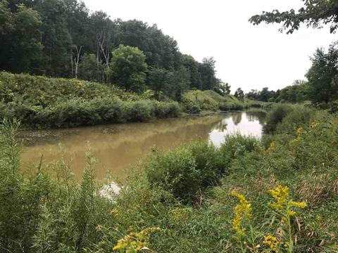 2274 Loree Rd, Applegate, MI 48401 photo 20