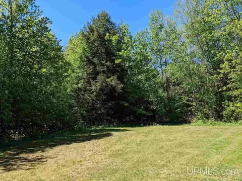 Exterior - 18 Tamarack, White Pine, MI 49971 photo 1 of 2