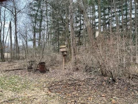 3809 Lansing Rd, Perry, MI 48872 photo 2