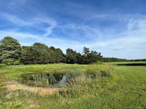 6056 Downington Rd, Deckerville, MI 48427 photo 8