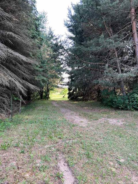 6056 Downington Rd, Deckerville, MI 48427 photo 3