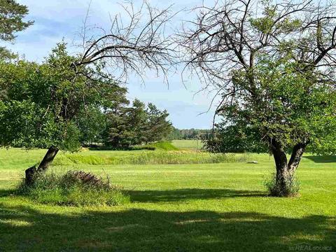 6056 Downington Rd, Deckerville, MI 48427 photo 2