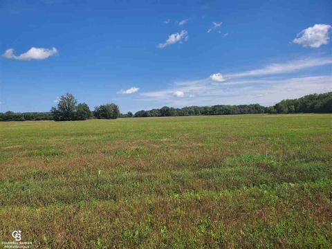 Brockway Rd Parc D & E, Yale, MI 48097 photo 2