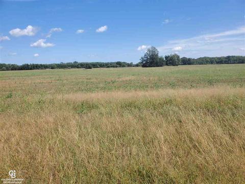 Brockway Rd Parc D & E, Yale, MI 48097 photo 5