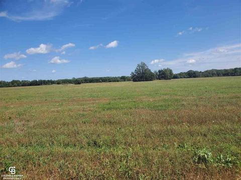 Brockway Rd Parc D & E, Yale, MI 48097 photo 4