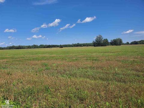 Brockway Rd Parc D & E, Yale, MI 48097 photo 3