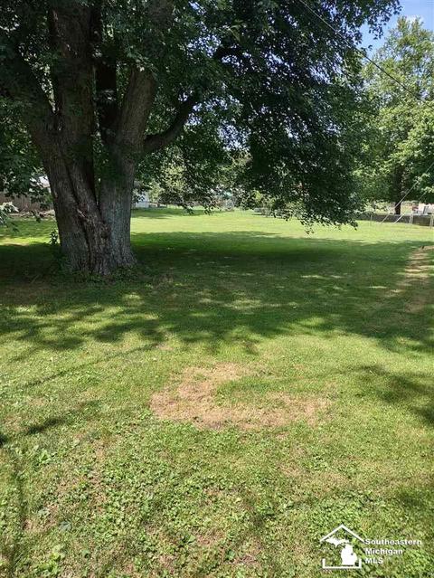 8809 Crabb, Temperance, MI 48182 photo 11