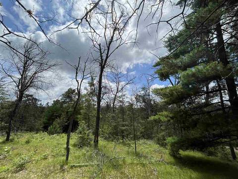 709 Piney Woods, Harrison, MI 48625 photo 4
