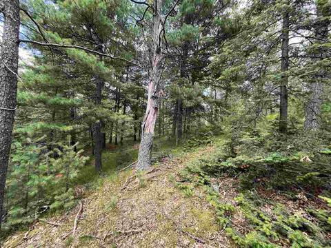 709 Piney Woods, Harrison, MI 48625 photo 10