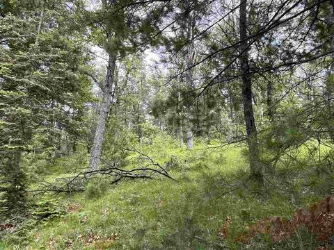 709 Piney Woods, Harrison, MI 48625 photo 7