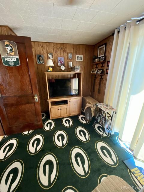 132 E Clark St, Negaunee, MI 49866 photo 26
