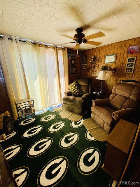 132 E Clark St, Negaunee, MI 49866 photo 25