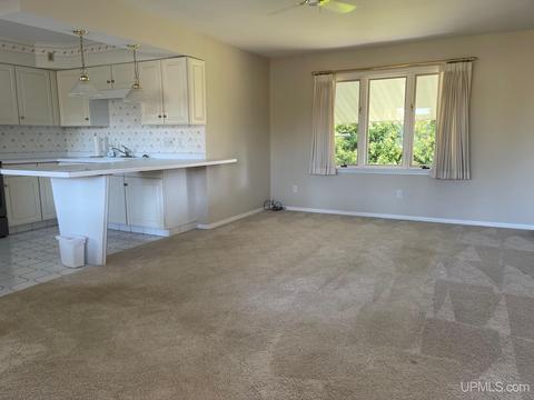 703 Elliott, Ishpeming, MI 49849 photo 21