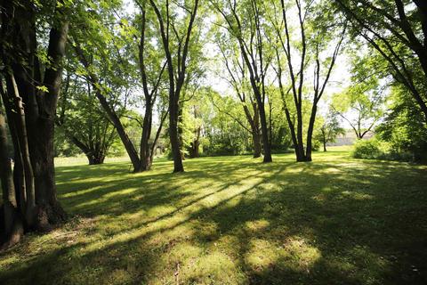 8133 W Frances Rd, Flushing, MI 48433 photo 26