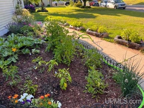 321 E Varnum, Munising, MI 49862 photo 29