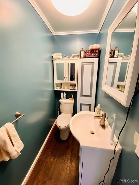 624 Iron St, Ishpeming, MI 49849 photo 17