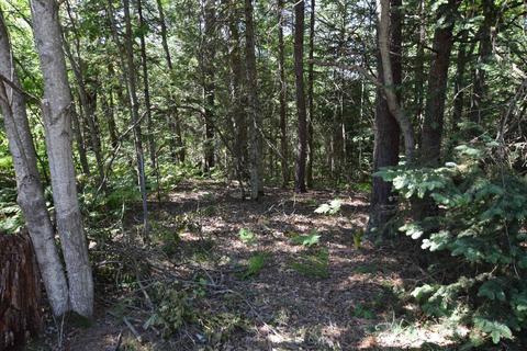 11345 Regier Rd, Roscommon, MI 48653 photo 23