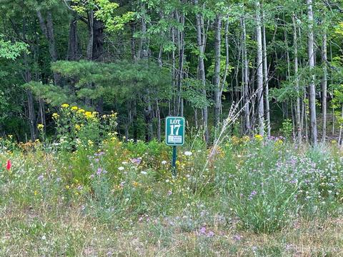 2016 N Creek Drive Lot #LOT 17, Marquette, MI 49855