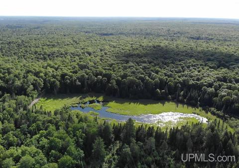Tbd1 Off Cut Across, Michigamme, MI 49861
