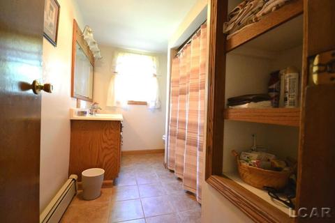 157 Cheever St, Britton, MI 49229 photo 19