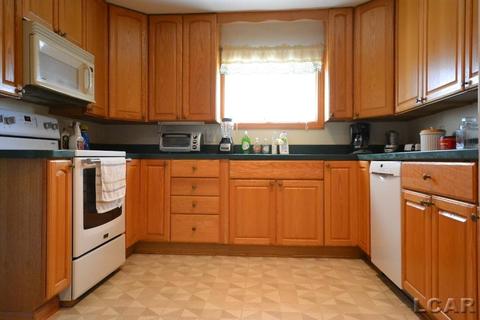 157 Cheever St, Britton, MI 49229 photo 15
