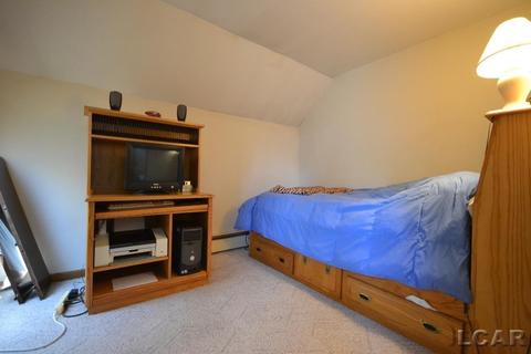 157 Cheever St, Britton, MI 49229 photo 24
