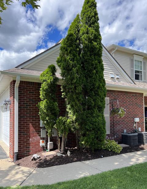 747 Eagle, Fenton, MI 48430 photo 52