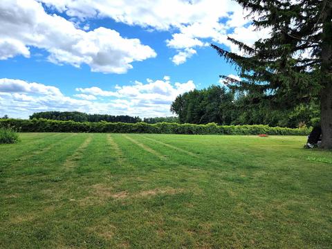 2984 Deckerville, Deckerville, MI 48427 photo 19