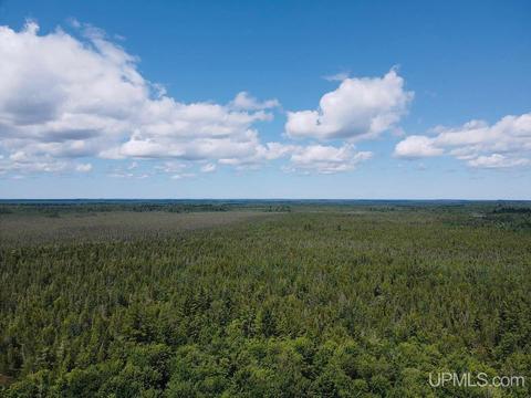 Tbd 15.5, Wetmore, MI 49895