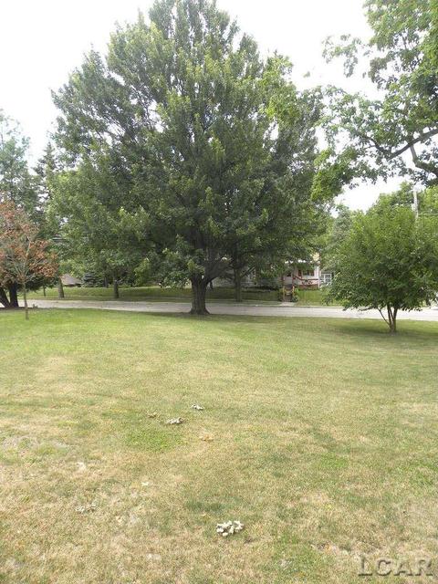 910 Comstock, Adrian, MI 49221 photo 42