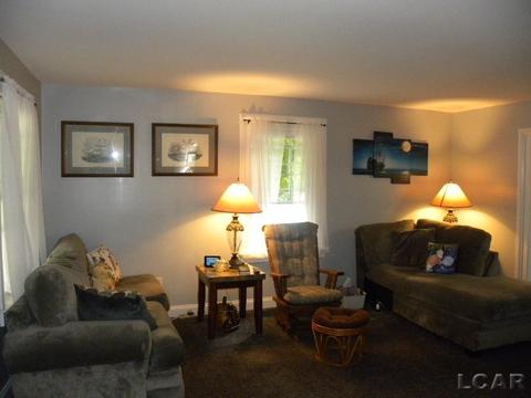 910 Comstock, Adrian, MI 49221 photo 13