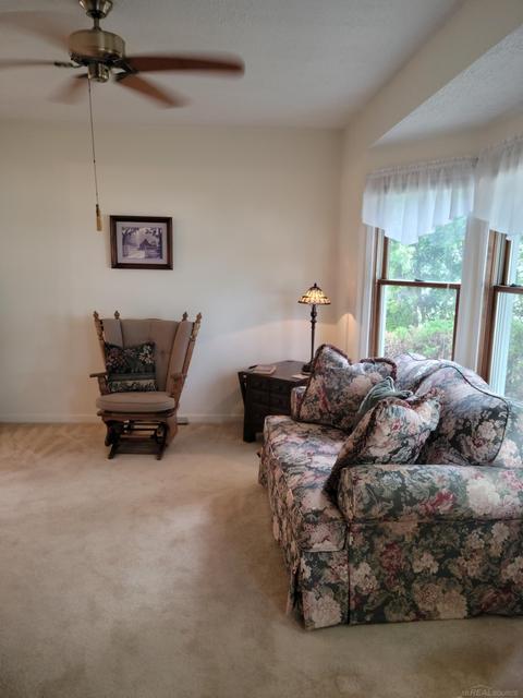 23916 Kate, Warren, MI 48091 photo 3