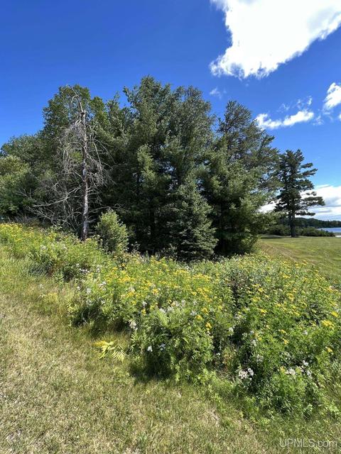 Tbd Lot 4 Riverhills, Kingsford, MI 49802