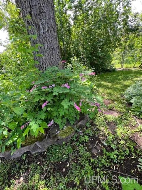 657 S Pne, Ishpeming, MI 49849 photo 43