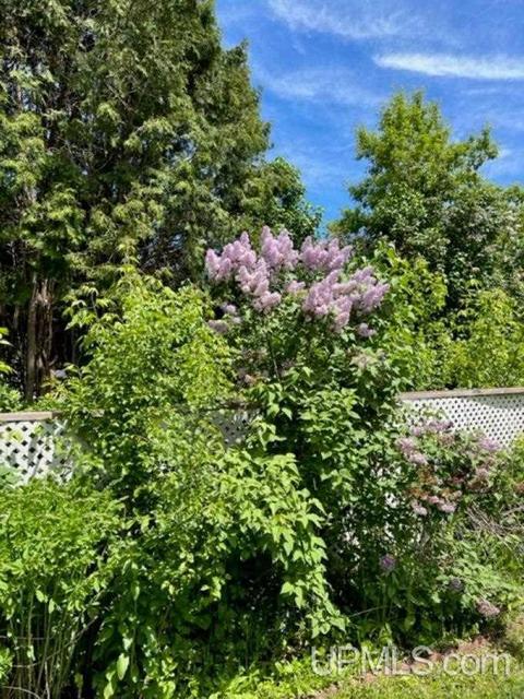 657 S Pne, Ishpeming, MI 49849 photo 39
